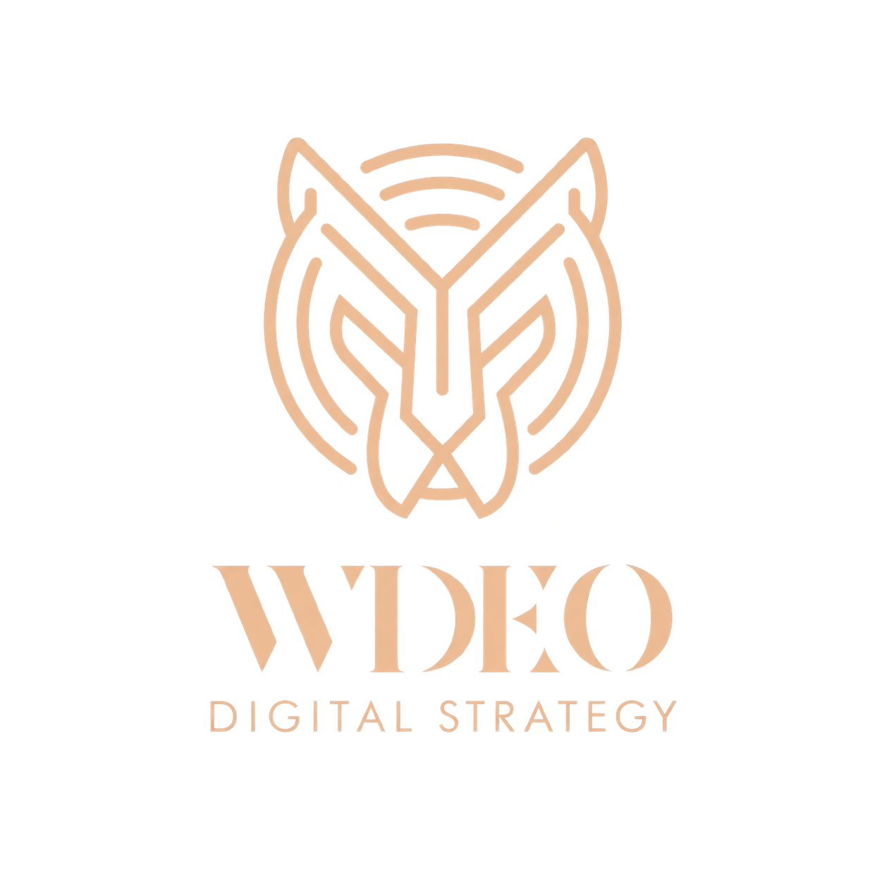 WDEO Digital Strategy